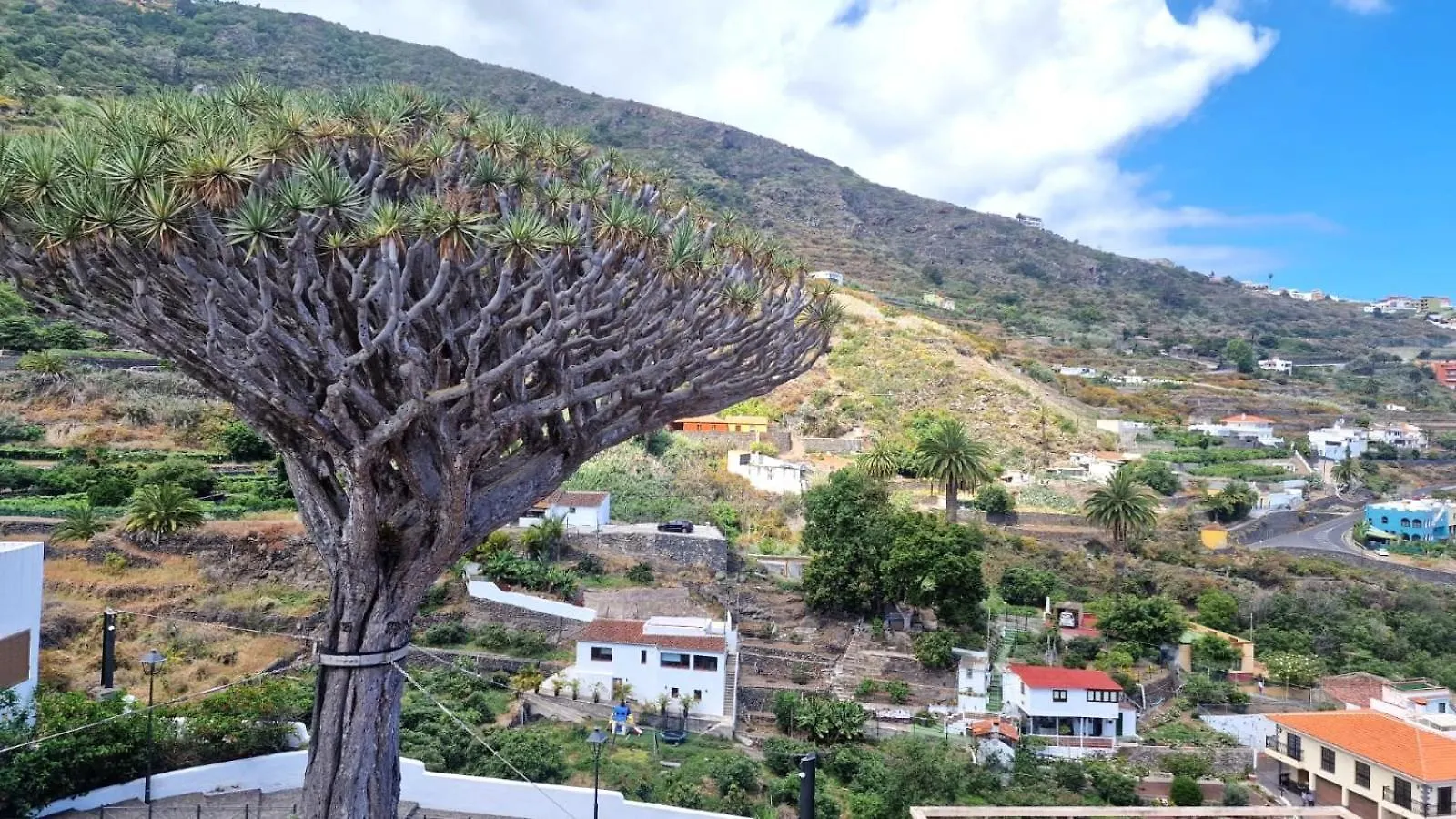 Cozy Izan Drago Apartment In Icod De Los Vinos 0*,